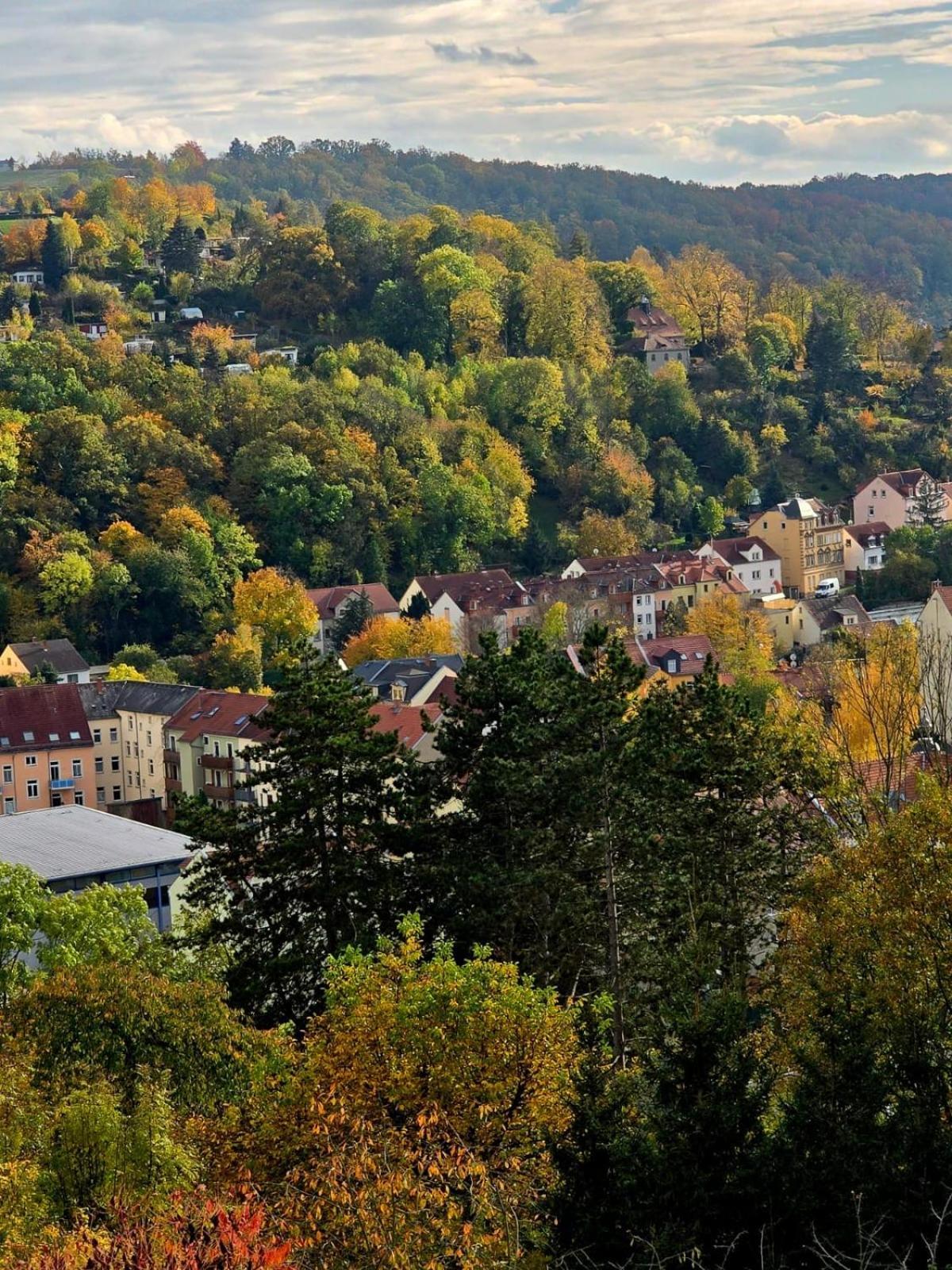 Cozy Pet-Friendly Apartment Meißen 외부 사진